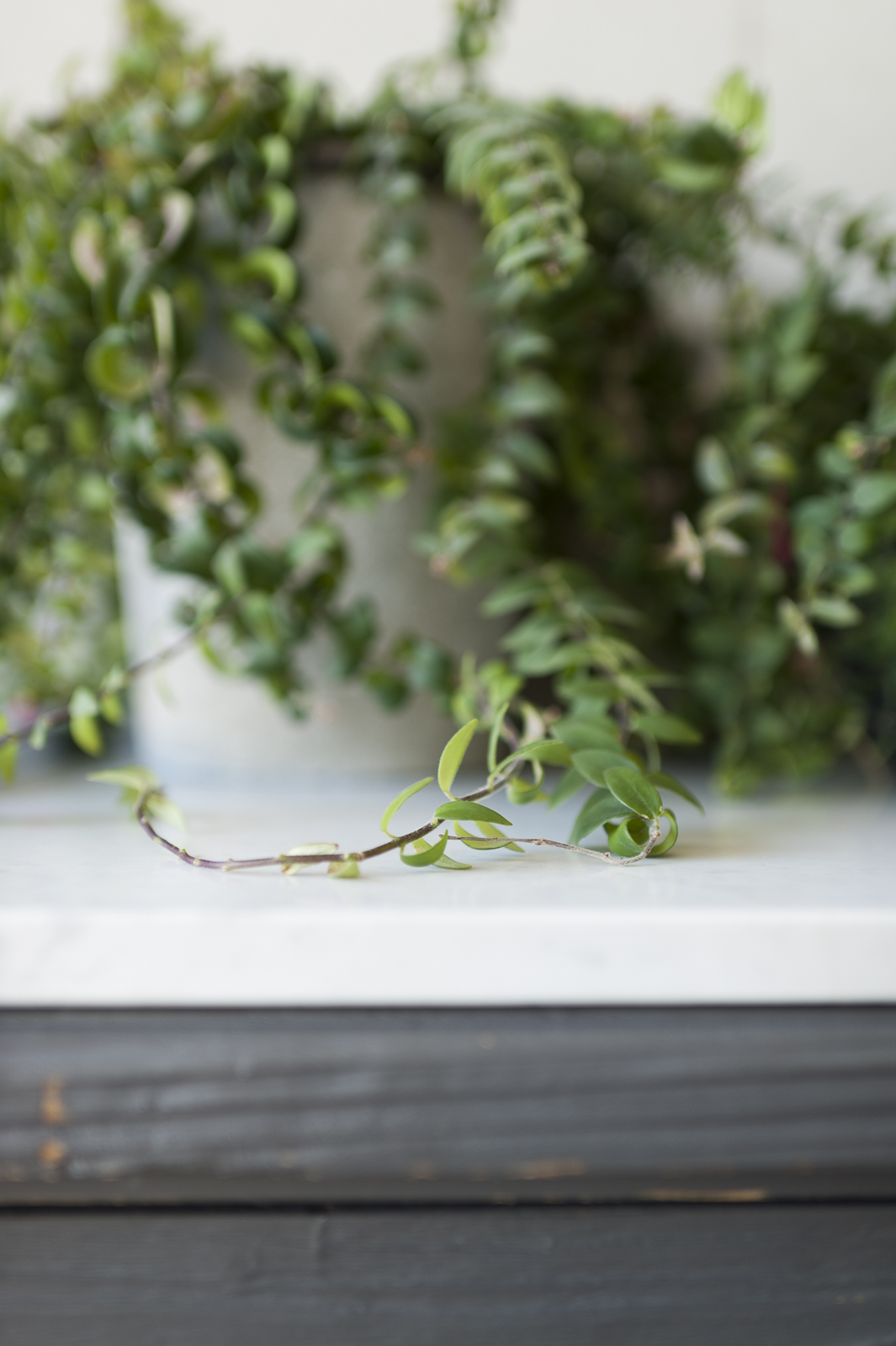 davines corporate 01 596 200x300 1